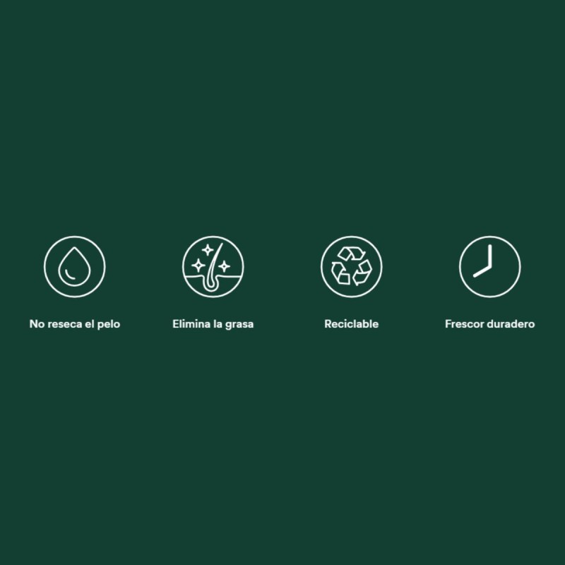 Batiste Champu Seco Original