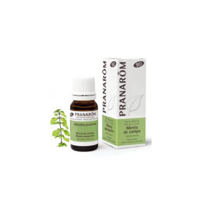 PRANAROM ACEITE ESENCIAL MENTA DE CAMPO BIO 10 ML