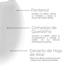 DS RADIA ACONDICIONADOR PURIFICANTE 205 ML