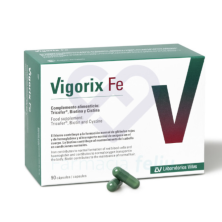 VIGORIX FE 90 CAPS