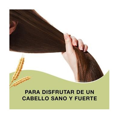 Priorin salud Cabello Pelo Cápsulas - 60 cap
