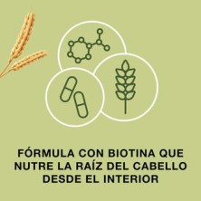 Priorin salud Cabello Pelo Cápsulas - 60 cap