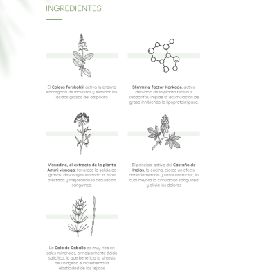 THIOMUCASE ZONAS REBELDES STICK ANTICELULITICO 75 ML