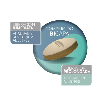 STRESSOUT 20 COMPRIMIDOS