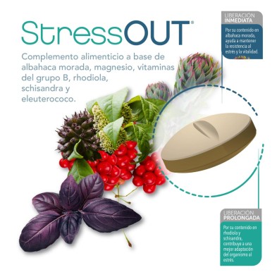 STRESSOUT 20 COMPRIMIDOS