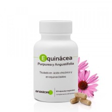 ECHINACEA ANGUSTIFOLIA BOIRON C15 GLOBULOS 1 ENVASE 4 G