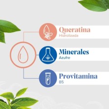 FORCAPIL CHAMPU FORTIFICANTE CON KERATINA 1 ENVASE 200 ML