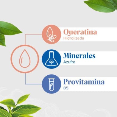 FORCAPIL CHAMPU FORTIFICANTE CON KERATINA 1 ENVASE 200 ML