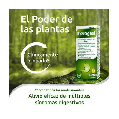 IBEROGAST GOTAS ORALES SOLUCION 100 ML
