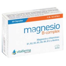 MAGNESIO B COMPLEX 30 CAPS