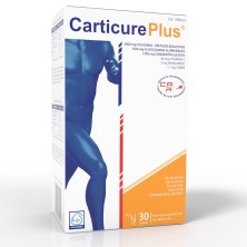 CARTICURE PLUS 30 STICK
