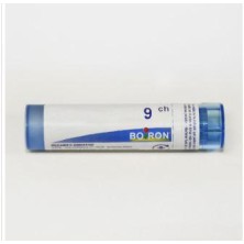 HYPERICUM PERFORATUM 9CH GR BOIRON