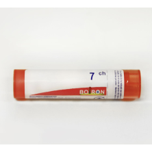 SEPIA OFFICINALIS 7CH GR BOIRON