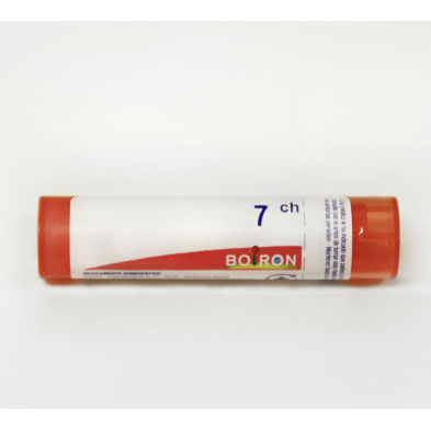 SEPIA OFFICINALIS 7CH GR BOIRON