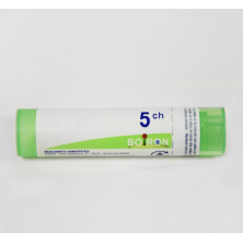 RHODODENDRON CHRYSANTHU 5CH GR BOIRON