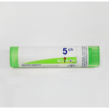 CAULOPHYLLUM THALICTROI 5CH GR BOIRON