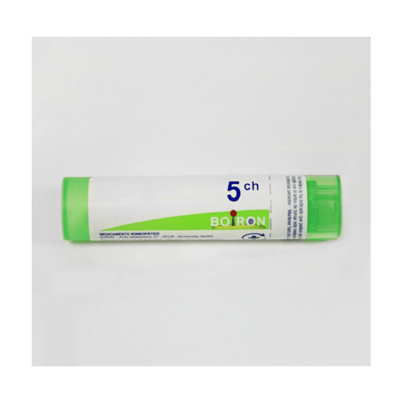 CAULOPHYLLUM THALICTROI 5CH GR BOIRON