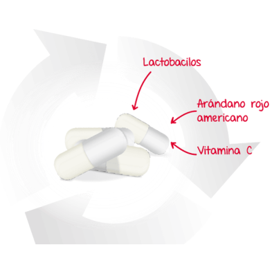 LACTOFLORA CISCARE 30 CAPSULAS
