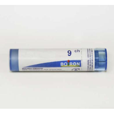 THUYA OCCIDENTALIS GR 9CH BOIRON        