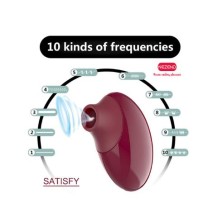 SATISFY SUCCIONADOR 10 FUNCIONES USB NEZEND