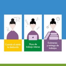 Serenia Stress Calm Cápsulas - 30 cap